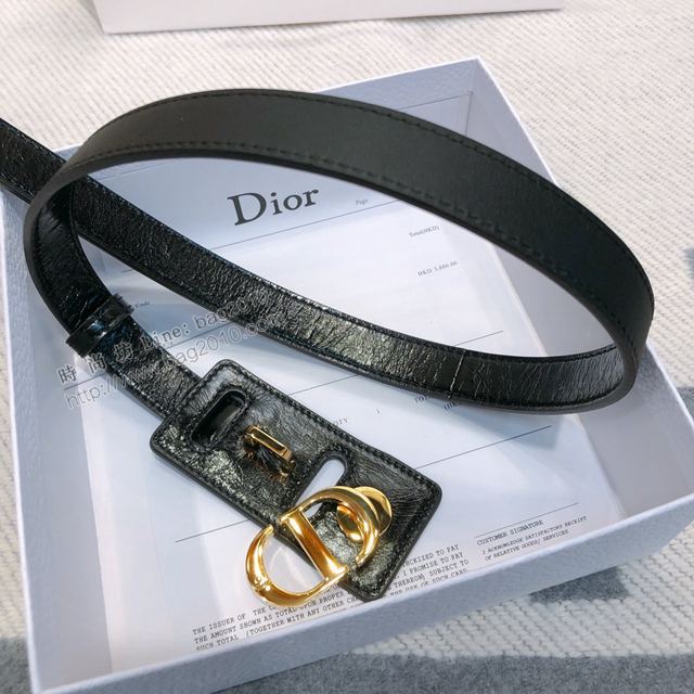 Dior皮帶 迪奧19秋冬新品 油蠟皮 Dior女士皮帶  xfp2134